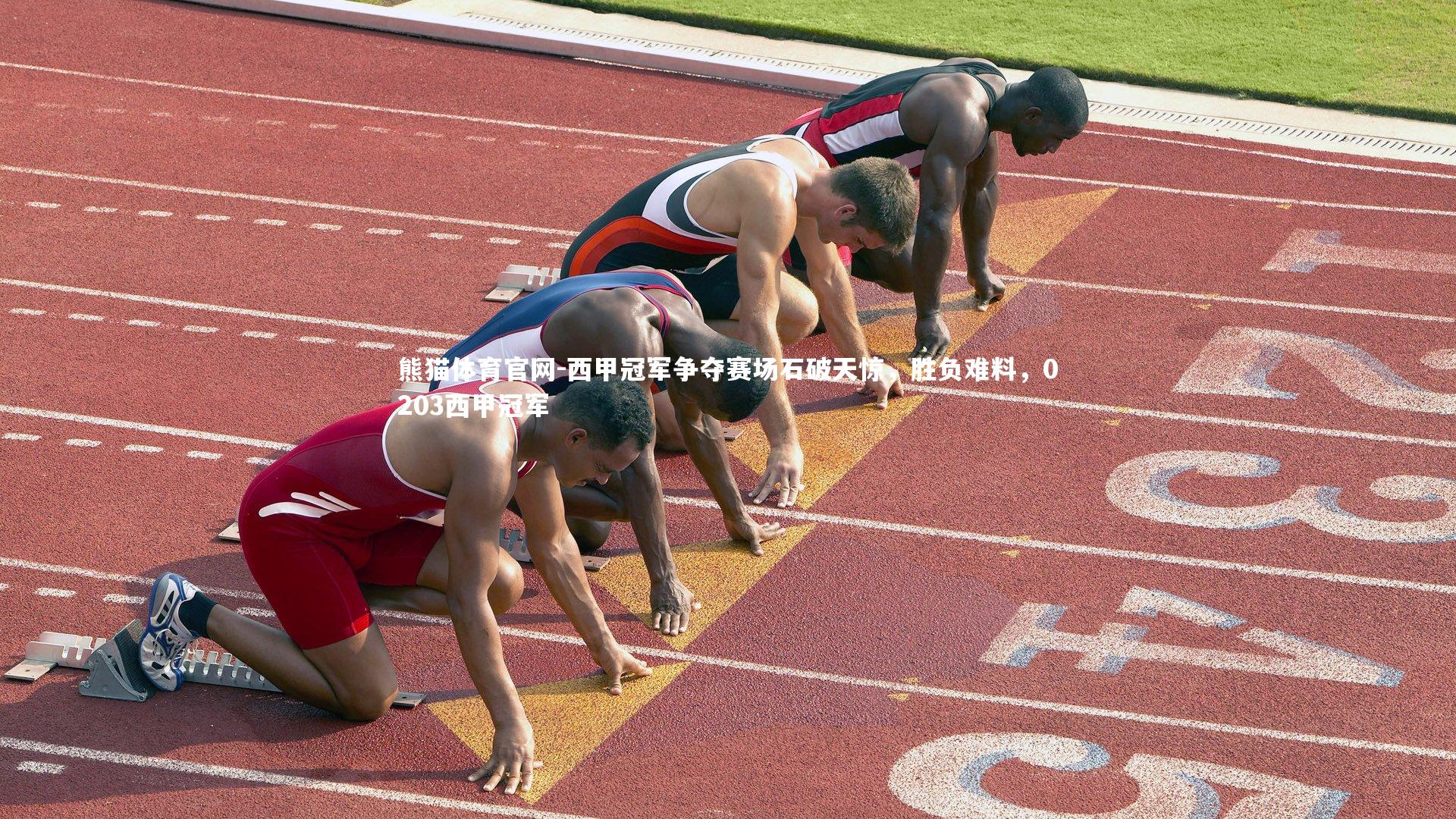 熊猫体育官网-西甲冠军争夺赛场石破天惊，胜负难料，0203西甲冠军