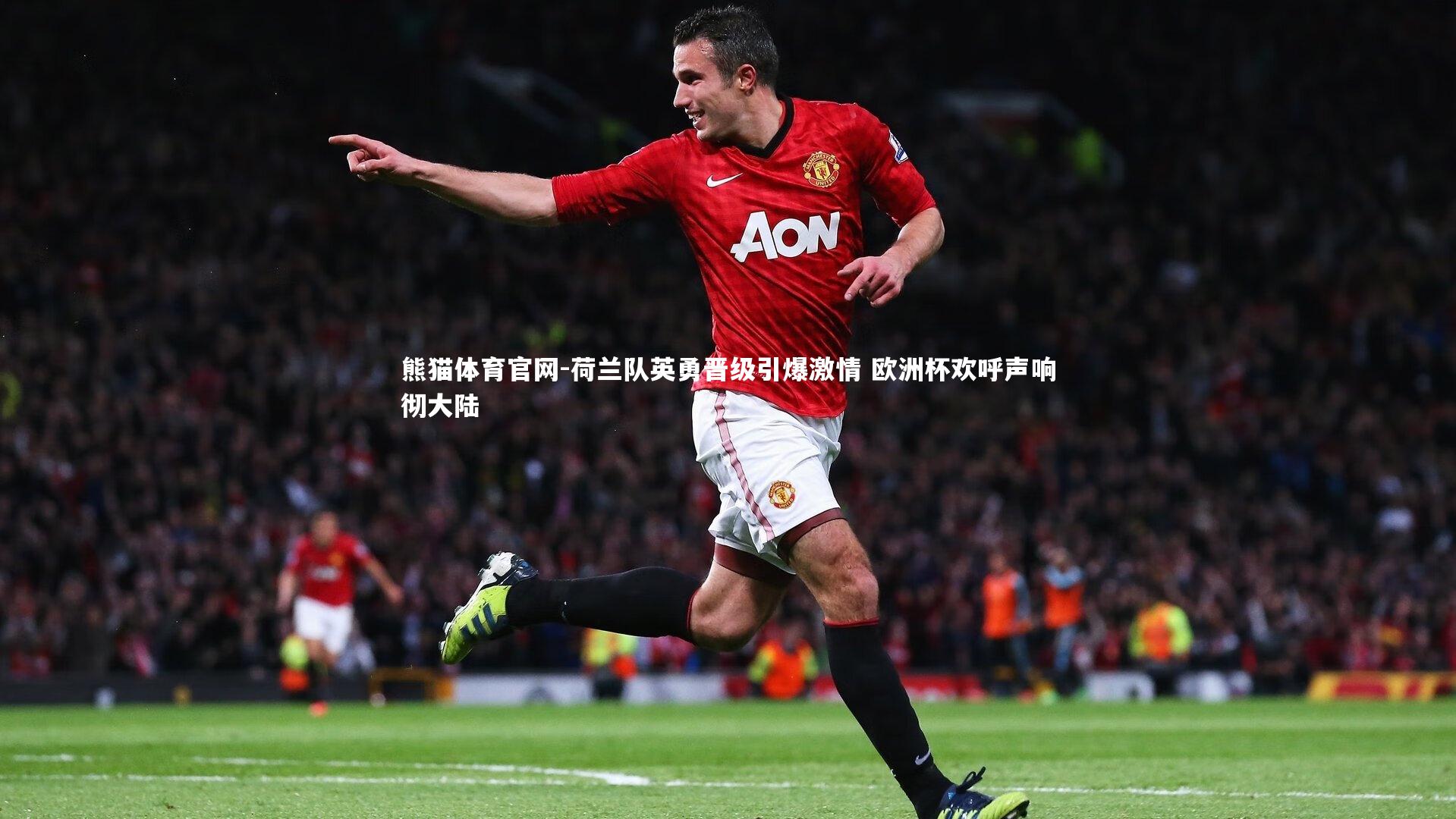 熊猫体育官网-荷兰队英勇晋级引爆激情 欧洲杯欢呼声响彻大陆