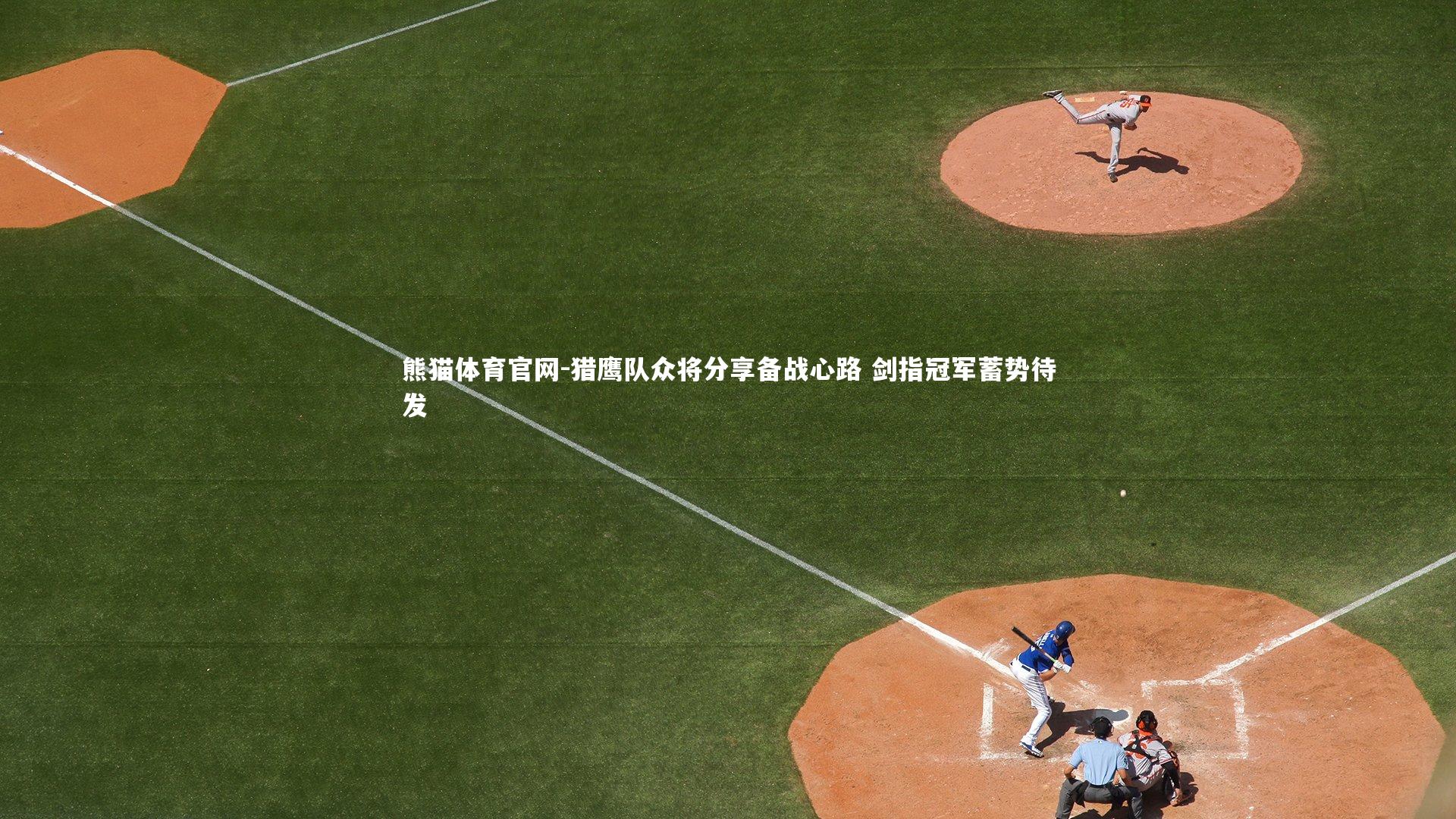 熊猫体育官网-猎鹰队众将分享备战心路 剑指冠军蓄势待发